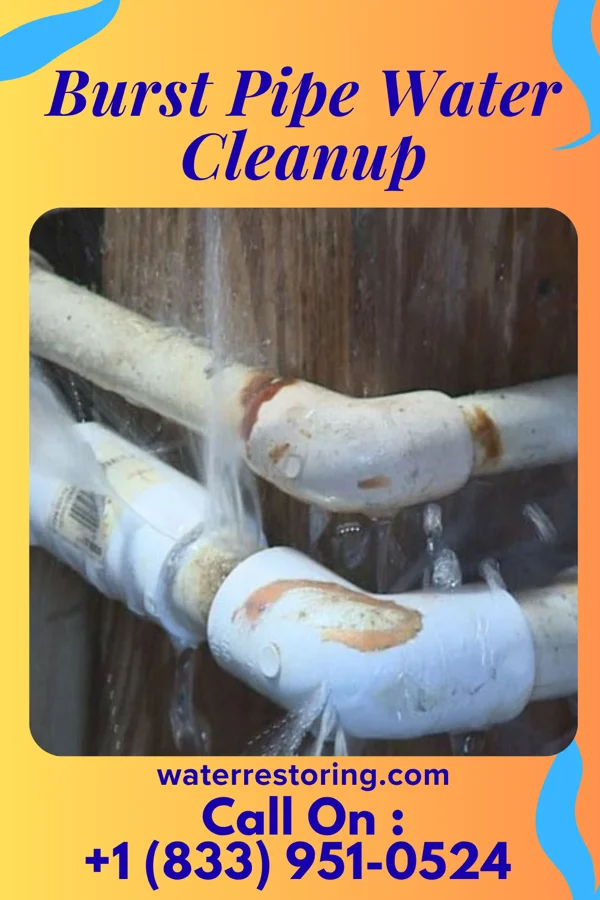 Burst Pipe Water Cleanup in Brinsmade, ND