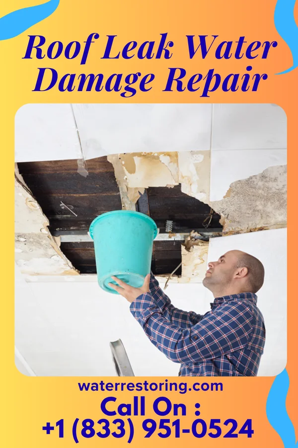 Roof Leak Water Damage Repair in Brinsmade, ND